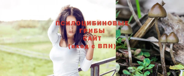 винт Белоозёрский