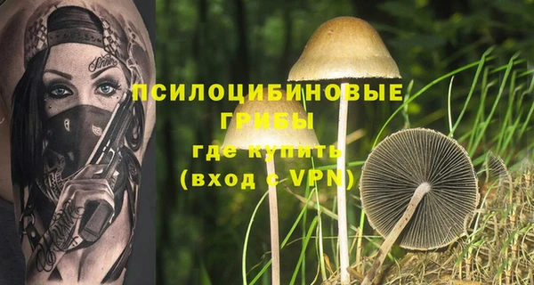 прущие крисы Беломорск