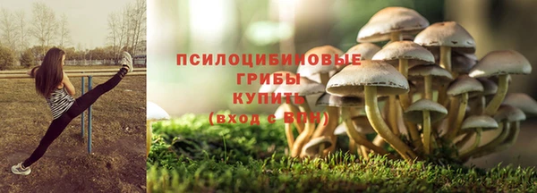 наркотики Белокуриха