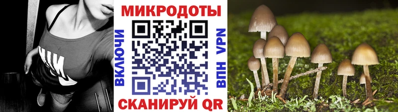 даркнет сайт  Зверево  Псилоцибиновые грибы Magic Shrooms 